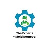 The Experts - Mold Removal